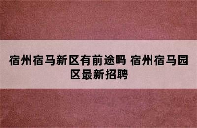 宿州宿马新区有前途吗 宿州宿马园区最新招聘